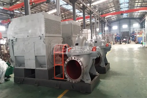 天津某化工企业采购300S58B中开循环水泵